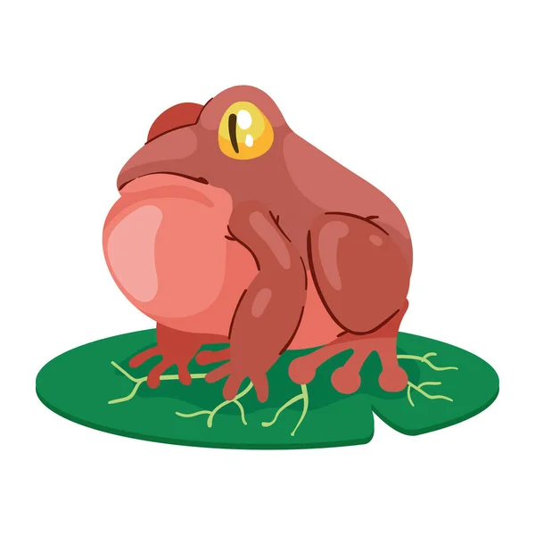 Yaprakta Yüzen Egzotik Kırmızı Kurbağa — Stok Vektör