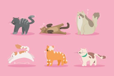 group of six cats characters