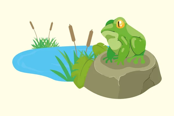 Amphibian ในห นทะเลสาบฉาก — ภาพเวกเตอร์สต็อก