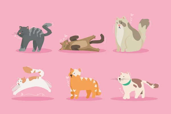 Group Six Cats Characters — Archivo Imágenes Vectoriales