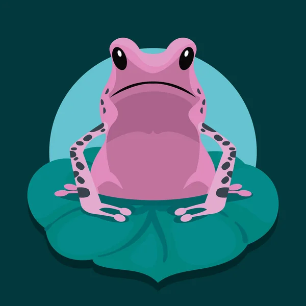 กบส Amphibian ในใบ — ภาพเวกเตอร์สต็อก