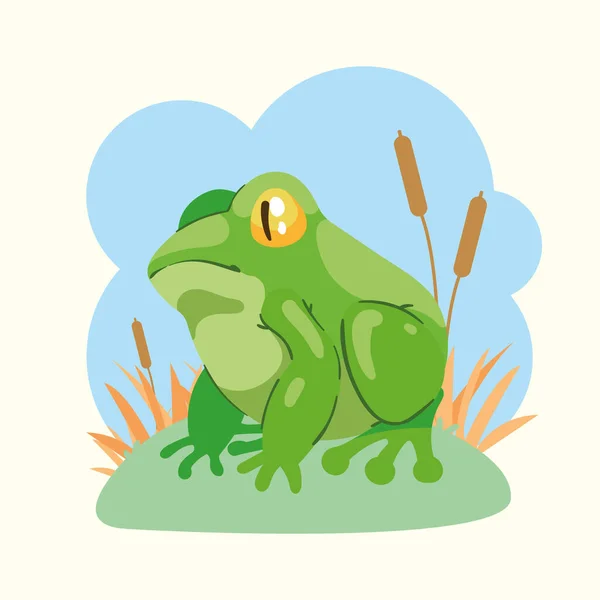Green Frog Amphibian Animal Scene — Stok Vektör