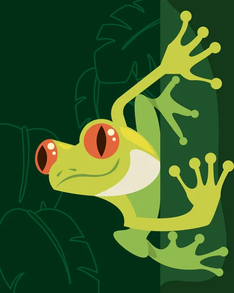Amphibian ในส นไม — ภาพเวกเตอร์สต็อก