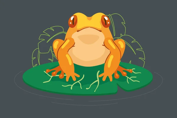 กบส เหล Amphibian ในส — ภาพเวกเตอร์สต็อก