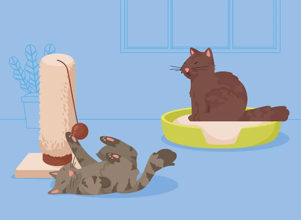 Gray Brown Cats Mascots — ストックベクタ