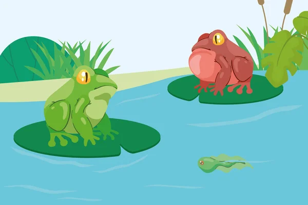 Two Frogs Lake Scene — Stockvector