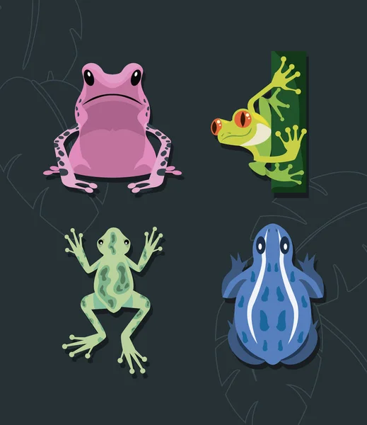 Frogs Amphibians Animals Characters Group — Stok Vektör