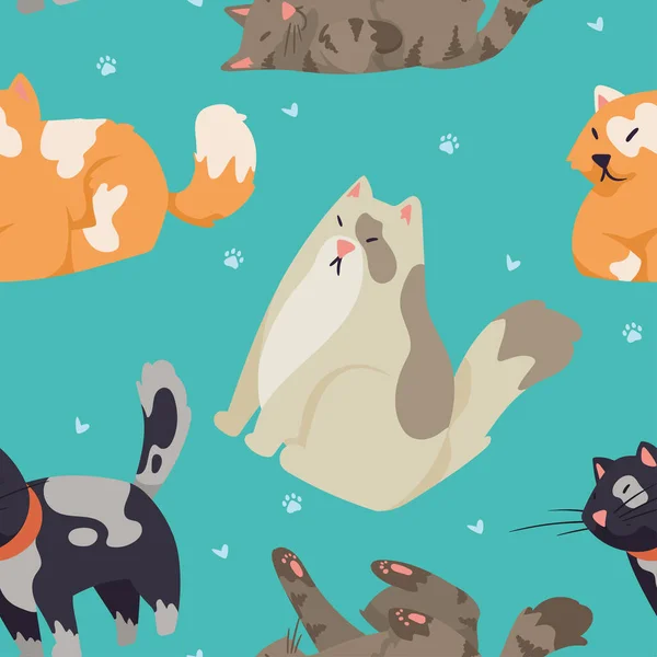 Group Cats Pattern Characters — Vetor de Stock