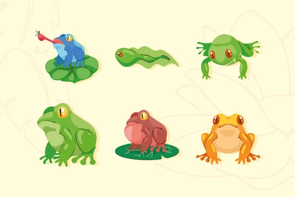 Six Frogs Amphibians Animals Group — Stockvektor