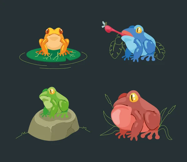 Four Frogs Amphibians Animals Group — Stok Vektör