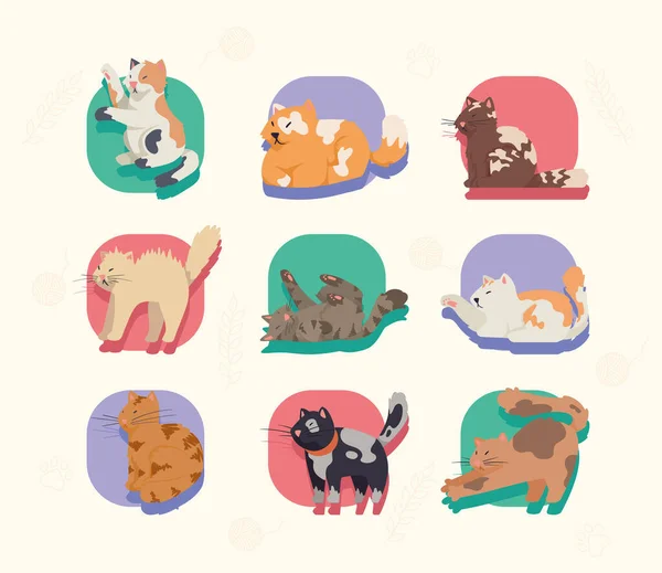 Nine Cats Mascots Domestic Characters — 스톡 벡터