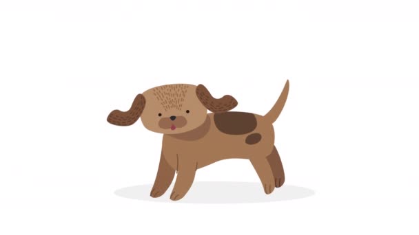 小さな犬のマスコットキャラクターアニメーション4Kビデオアニメーション — ストック動画