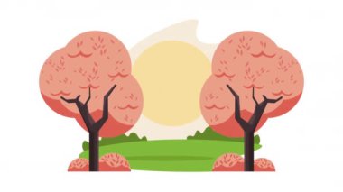 Portakal ağaçları orman sahnesi, 4k video animasyonu