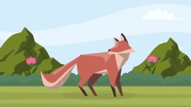 Tilki hayvanı bahar sezonu animasyonu, 4k video animasyonu