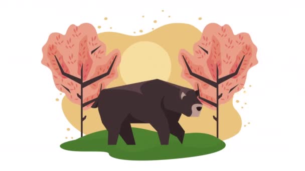 Niedźwiedź Zwierzę Wiosna Sezon Animacja Wideo Animowane — Wideo stockowe