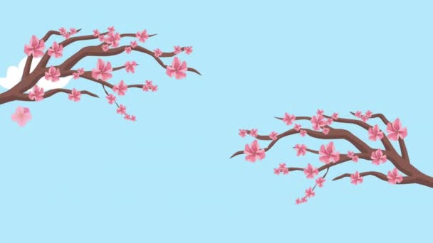 Sakura Árvores Galhos Céu Cena Vídeo Animado — Vídeo de Stock