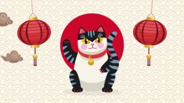 Asyalı kırmızı lambalar ve kedi, 4k video animasyonu