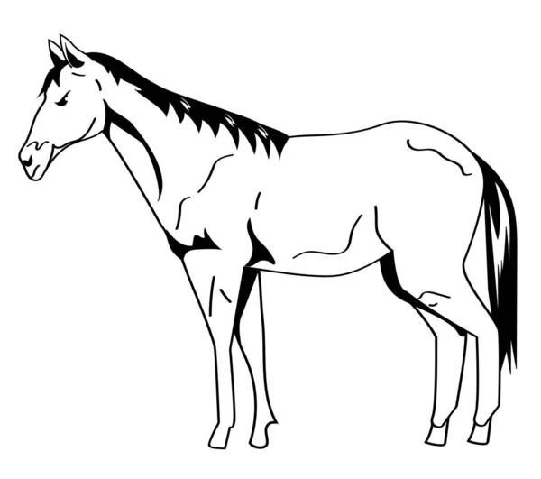 Cavalo Animal Monocromático Ícone Estilo — Vetor de Stock
