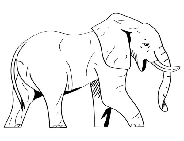 Elefant Tier Monochrome Stil Ikone — Stockvektor