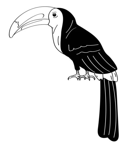 Toucan動物モノクロスタイルのアイコン — ストックベクタ