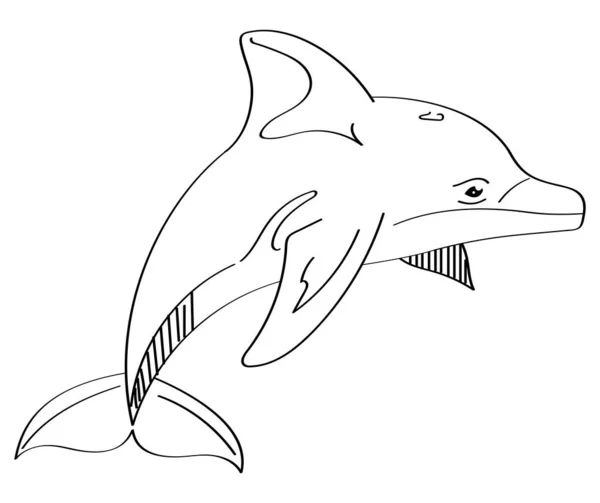 Dolphin Animal Monochrome Style Icon — Stock Vector