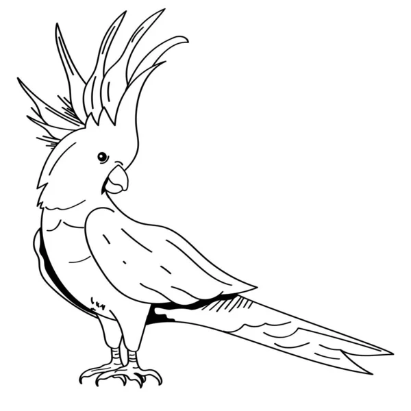 Macaw Animal Monochrome Icône Style — Image vectorielle