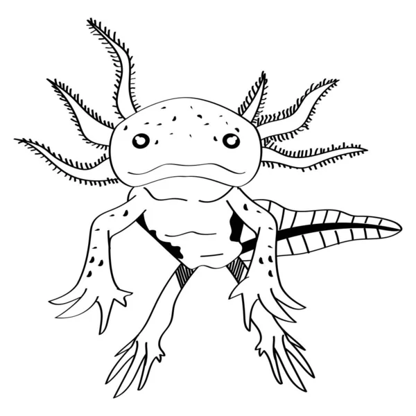 Axolotl Hayvan Monokrom Tarzı Simge — Stok Vektör