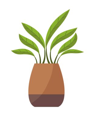 Dekoratif saksı simgesinde bitki yetiştirme
