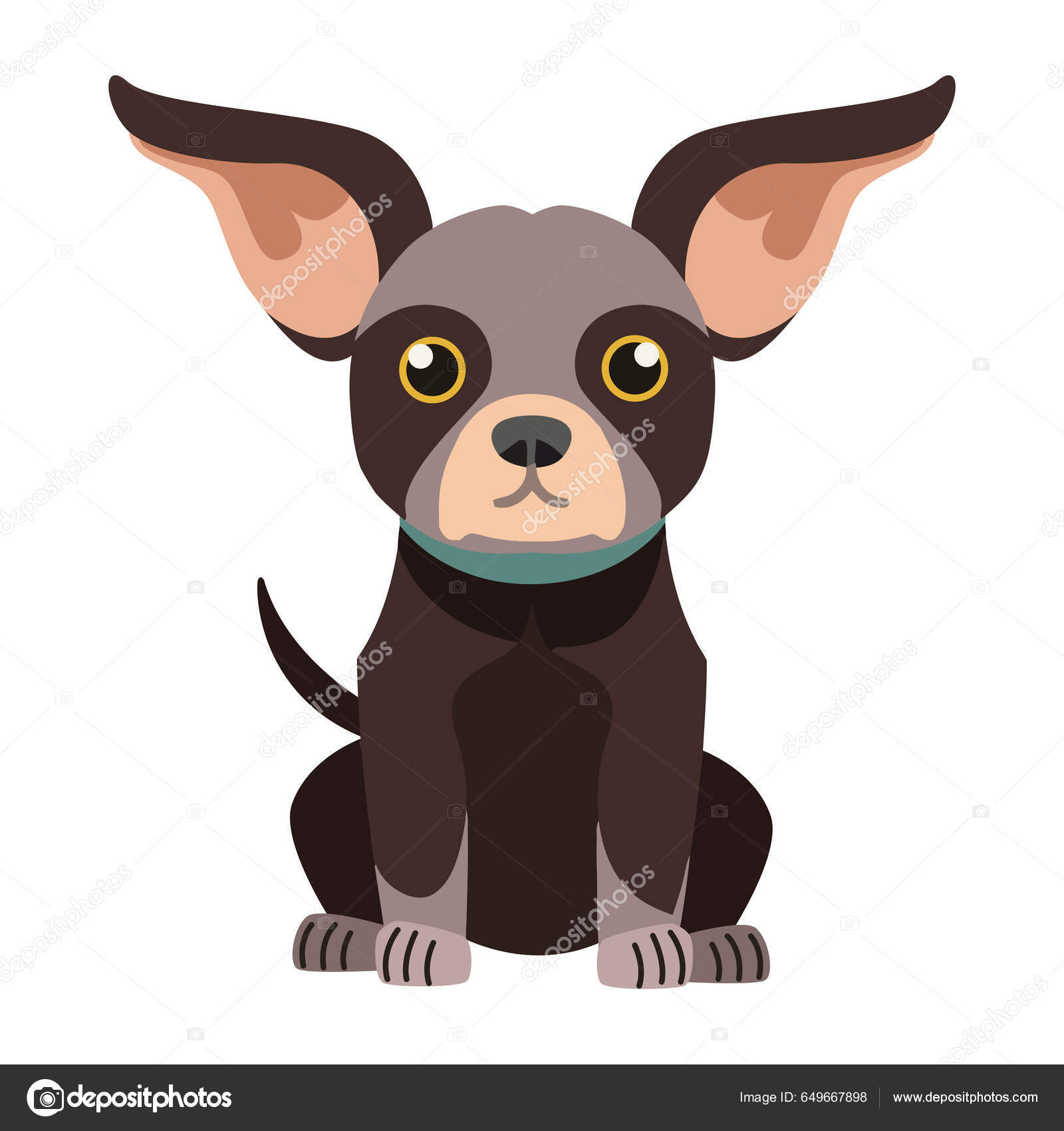 Chihuahua images vectorielles, Chihuahua vecteurs libres de droits |  Depositphotos
