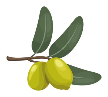 Yeşil zeytin tohumları doğa simgesi