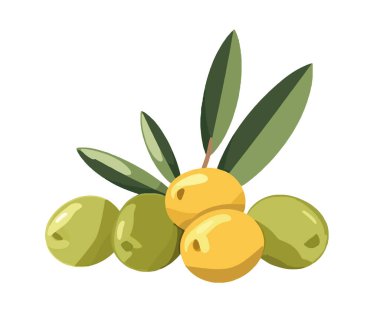 Zeytin tohumu ve yaprak simgesi