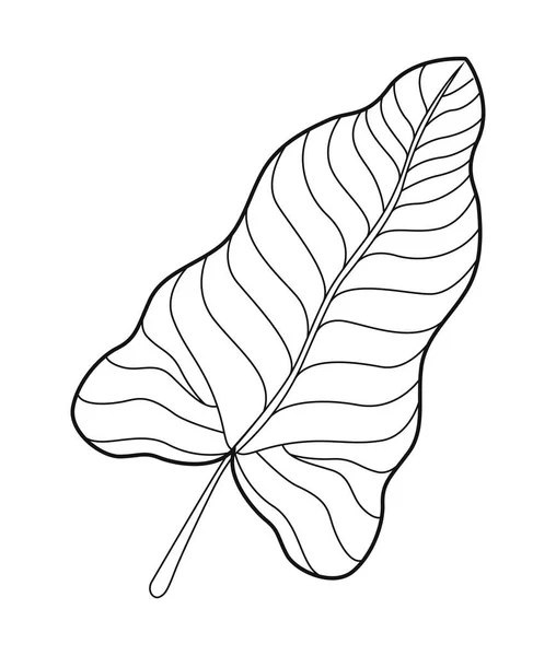 Exotic Leaf Plant Foliage Nature Icon — Image vectorielle