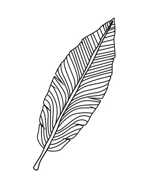 Feuille Palmier Feuille Nature Icône — Image vectorielle