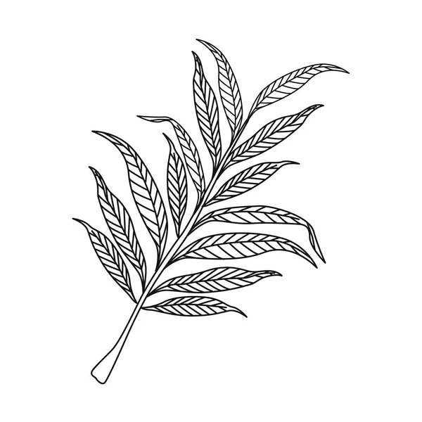Leafs Plant Foliage Sketch Icon — Stock Vector