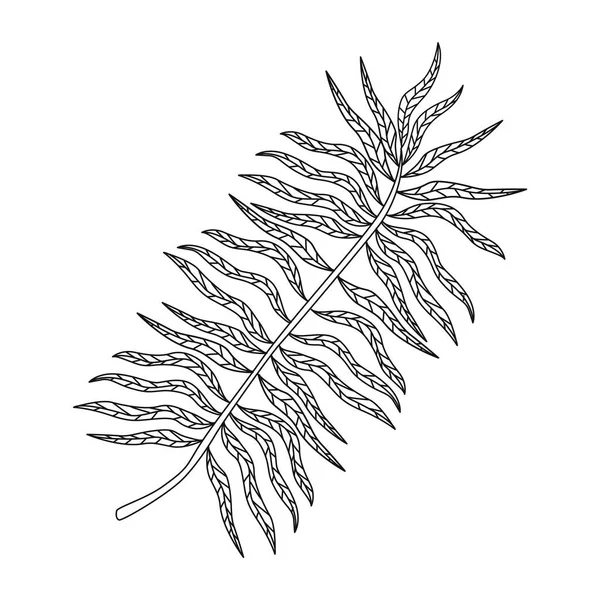 Leaf Palm Foliage Nature Icon — 图库矢量图片