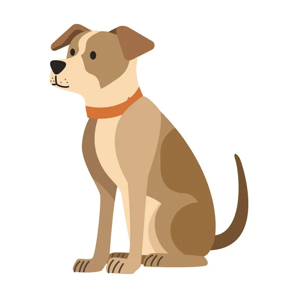 Boxer Cão Mascote Caráter Doméstico — Vetor de Stock