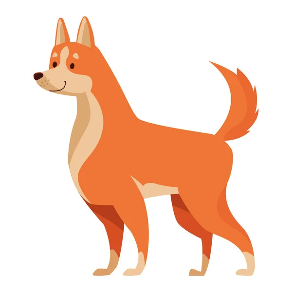 Welsh Corgi Dog Mascot Character — Stock Vector