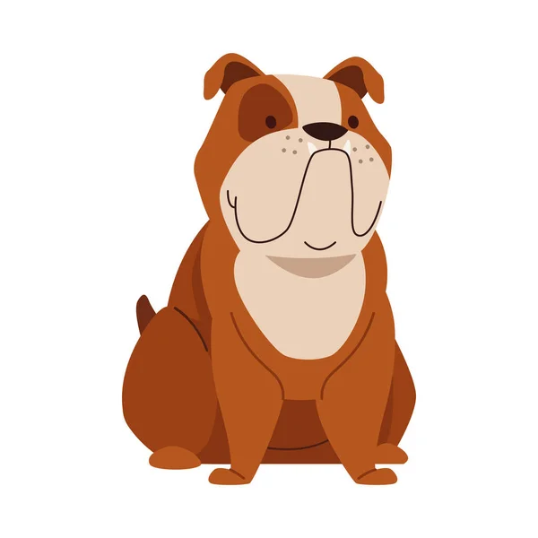 Buldogue Cão Mascote Caráter Doméstico — Vetor de Stock