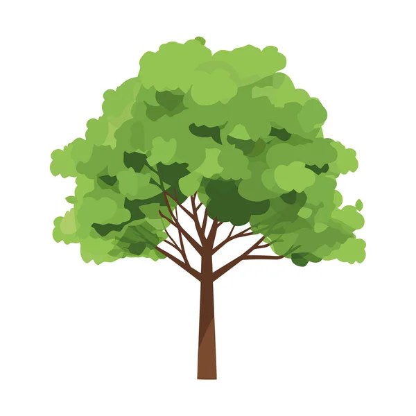 Baum Pflanzen Wald Natur Ikone — Stockvektor