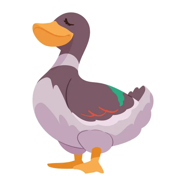 Cute Duck Farm Animal Character — Stok Vektör