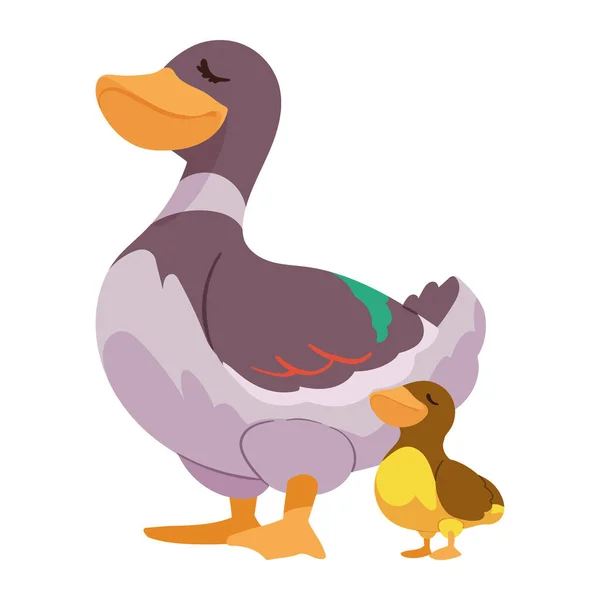 Pato Madre Con Bebé Caracteres — Vector de stock