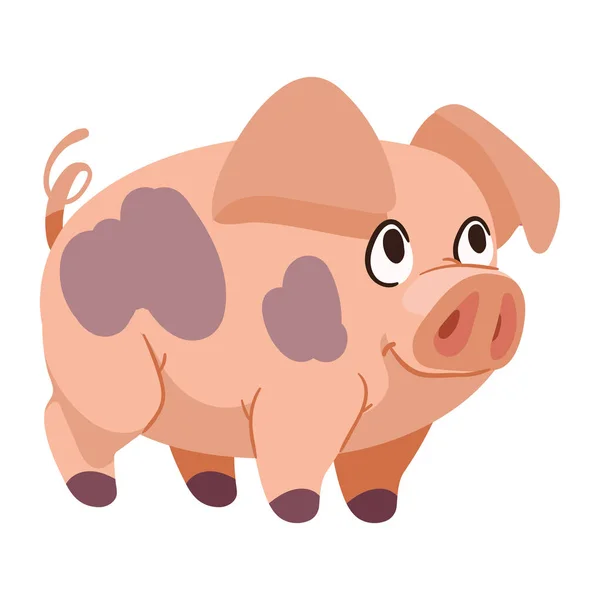 Baby Schwein Bauernhof Tier Charakter — Stockvektor