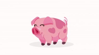 Domuz çiftliği hayvan karakteri animasyonu, 4k video animasyonu