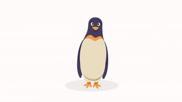 Aranyos Pingvin Madár Állat Animáció Videó Animált — Stock videók