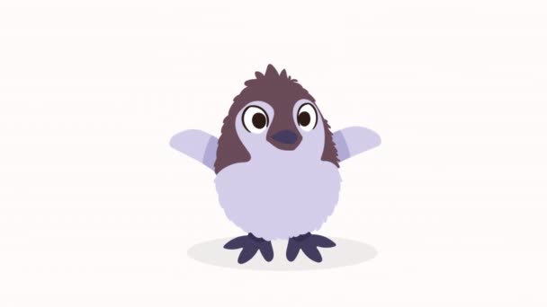 Sevimli Penguen Bebek Hayvan Animasyonu Video Animasyonu — Stok video
