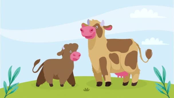 母牛と子牛のアニメーション4Kビデオアニメーション — ストック動画