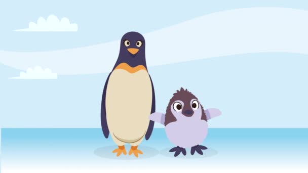 Pinguïn Moeder Baby Animatie Video Geanimeerd — Stockvideo