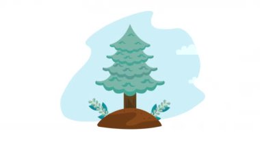 Çam ağacı bitkisi orman animasyonu 4k video animasyonu