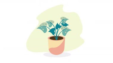 ot doğa animasyonu 4k video animasyonu