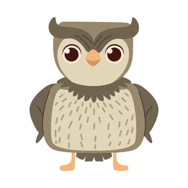 Cute Owl Animal Tender Character — Stock Vector